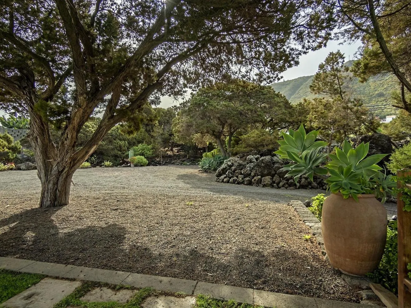 Las Sabinas Villa - El Guincho, Garachico Garachico
