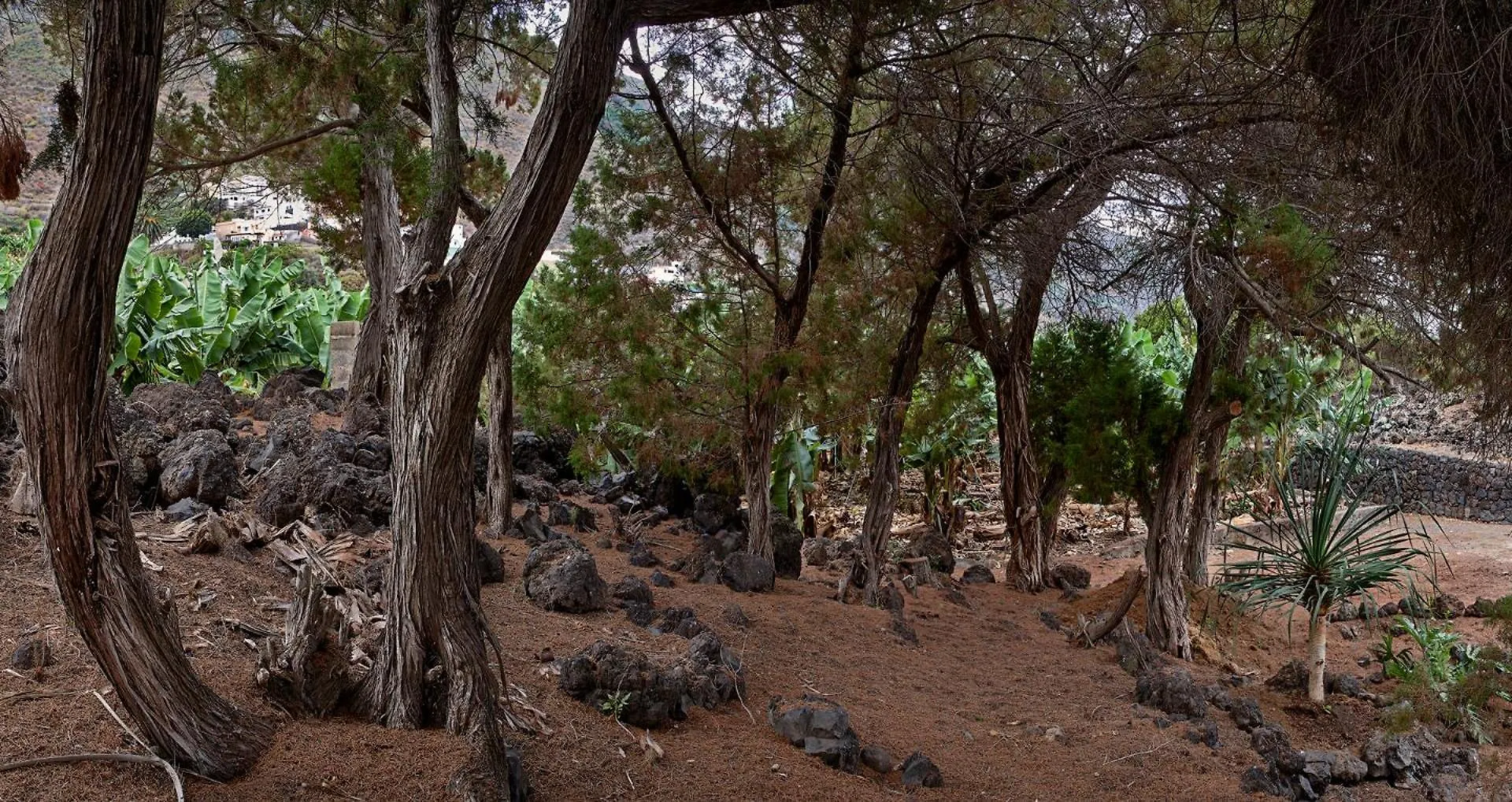 Las Sabinas Villa - El Guincho, Garachico Garachico   Garachico (Tenerife)